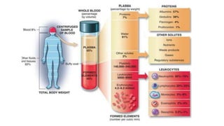 Protein Testing Estimation of Serum Protien by Biuret method | PPTX