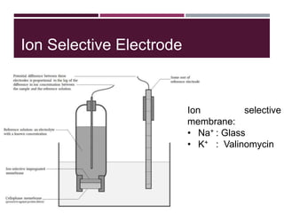 Ion Selective Electrode
Ion selective
membrane:
• Na+ : Glass
• K+ : Valinomycin
 