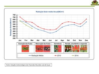 Fonte: Estação meteorológica das Fazendas Reunidas Laia & Souza
250
300
350
400
450
500
550
600
650
700
750
Jan Fev Mar Abr Mai Jun Jul Ago Set Out Nov Dez
RadiaçãoSolar(MJ/m²)
Radiação Solar média Anual(MJ/m²)
Radiação Média 2010 2014
Granação dos frutos Maturação dos frutos Dormência Florada ,chumbinho e expansão
 