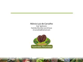 Márcio Luiz de Carvalho
Eng° Agrônomo
Fazendas Reunidas Laia & Souza
ml.carvalho@hotmail.com
 