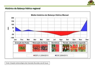 Fonte: Estação meteorológica das Fazendas Reunidas Laia & Souza
-100
-50
0
50
100
150
200
Jan Fev Mar Abr Mai Jun Jul Ago Set Out Nov Dez
mm
Média histórica do Balanço Hídrico Mensal
DEF(-1) 2004/2013 EXC 2004/2013
Granação dos frutos Maturação dos frutos Dormência Florada ,chumbinho e expansão
Histórico do Balanço hídrico regional
 
