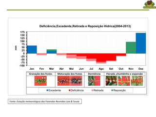 Fonte: Estação meteorológica das Fazendas Reunidas Laia & Souza
-100
-75
-50
-25
0
25
50
75
100
125
150
175
Jan Fev Mar Abr Mai Jun Jul Ago Set Out Nov Dez
mm
Deficiência,Excedente,Retirada e Reposição Hídrica(2004-2013)
Excedente Deficiência Retirada Reposição
Granação dos frutos Maturação dos frutos Dormência Florada ,chumbinho e expansão
 