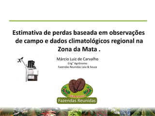 Márcio Luiz de Carvalho
Eng° Agrônomo
Fazendas Reunidas Laia & Souza
Estimativa de perdas baseada em observações
de campo e dados climatológicos regional na
Zona da Mata .
 