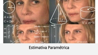 Estimativa Paramétrica
 