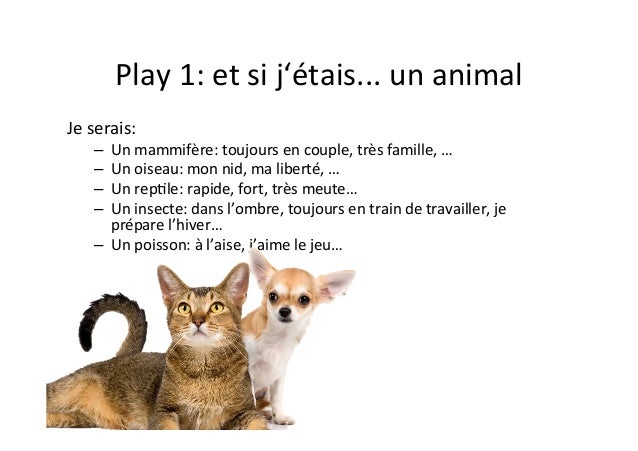 Si J étais Un Animal Je Serais Cours de motivation et de bilan