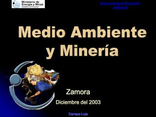 Subsecretaria de Protección
Ambiental
Derepa-Loja
Zamora
Diciembre del 2003
 