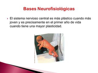 Motriz: Esta área está relacionada con la habilidad para moverse y desplazarse, permitiendo al niño tomar contacto con el mundo. También comprende la coordinación entre lo que se ve y lo que se toca, lo que lo hace capaz de tomar los objetos con los dedos, pintar, dibujar, hacer nudos, etc. Características del desarrollo