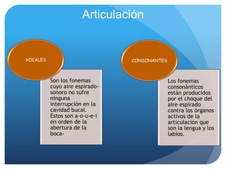 Articulación


VOCALES                         CONSONANTES



          Son los fonemas                     Los fonemas
          cuyo aire espirado-                 consonánticos
          sonoro no sufre                     están producidos
          ninguna                             por el choque del
          interrupción en la                  aire espirado
          cavidad bucal.                      contra los órganos
          Estos son a-o-u-e-i                 activos de la
          en orden de la                      articulación que
          abertura de la                      son la lengua y los
          boca-                               labios.
 