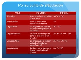 Por su punto de articulación

             TIPO              FUNCIÓN                      FONEMA
Bilabiales             Intervención de los labios   /m/ /p/ /b/
                       que se unen
labiodentales          Dientes superiores           /f/
                       contra labio inferior
Linguodental           La lengua se sitúa entre     /d/ /t/
                       los incicivos superiores e
                       inferiores
Linguoalveolares       La punta de la lengua se     /l/ /n/ /r/ /rr/ /s/
                       pone en contacto con los
                       alveolos
Linguopalatales        La lengua sube al paladar    /ñ/ /ch/ /ll/ /y/
                       dejando al medio un
                       pequeño canal.
Linguovelares          Contacto de la base de la    /c/ /g/ /j/
                       lengua con el velo del
                       paladar
 