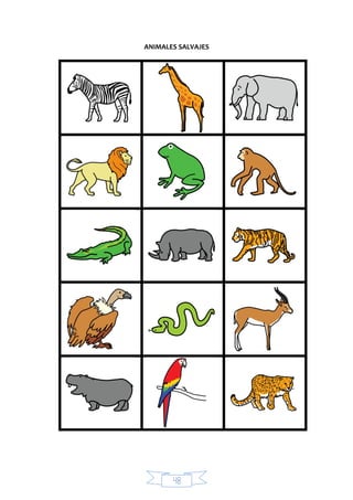 48
ANIMALES SALVAJES
 