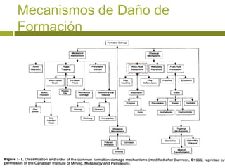 Mecanismos de Daño de
Formación
 