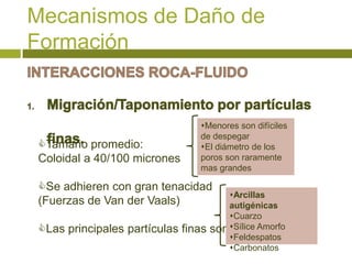 Mecanismos de Daño de
Formación


                               Menores son difíciles
                               de despegar
Tamaño promedio:              El diámetro de los
Coloidal a 40/100 micrones     poros son raramente
                               mas grandes

Se adhieren con gran tenacidad
                                       Arcillas
(Fuerzas de Van der Vaals)             autigénicas
                                       Cuarzo
Las principales partículas finas      Sílice Amorfo
                                    son:
                                       Feldespatos
                                       Carbonatos
 