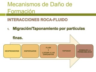 Mecanismos de Daño de
  Formación




                                FLUIR
                                  Y         TAPONAR    DISMINUIR LA
DESPRENDERSE   DISPERSARSE
                             LLEGAR A LAS             PERMEABILIDAD
                              GARGANTAS
 