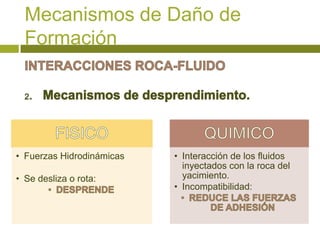 Mecanismos de Daño de
  Formación




• Fuerzas Hidrodinámicas   • Interacción de los fluidos
                             inyectados con la roca del
• Se desliza o rota:         yacimiento.
                           • Incompatibilidad:
 