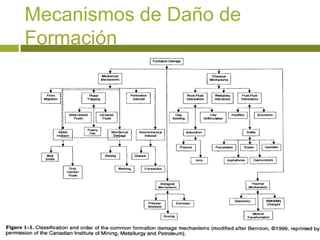 Mecanismos de Daño de
Formación
 