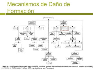 Mecanismos de Daño de
Formación
 
