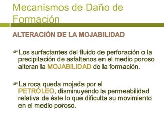 Mecanismos de Daño de
Formación
 