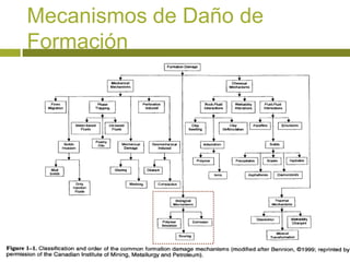 Mecanismos de Daño de
Formación
 