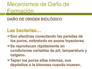 Mecanismos de Daño de
Formación
 