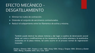 EFECTO MECÁNICO -
DESGATILLAMIENTO
 Eliminar los nudos de contracción.
 Distender el conjunto de sarcómeros contracturados.
 Reducir el solapamiento entre los filamentos de actina y miosina.
También puede destruir las placas motoras y dar lugar a cuadros de denervación axonal
distal, así como a modificaciones en los receptores de la colina esterasa y la acetilcolina
existentes en la placa motora, tal como ocurre en el proceso normal de regeneración
muscular.
Dexter y Simons 1981, Fricton y cols. 1985, Hong 1994, Hong y Torigoe 1994, Simons y Dexter
1995, Wang y Audette 2000, Ga y cols. 2007
 