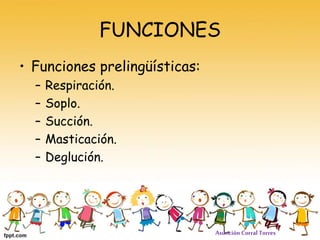 FUNCIONES
• Funciones prelingüísticas:
– Respiración.
– Soplo.
– Succión.
– Masticación.
– Deglución.
Asunción Corral Torr...