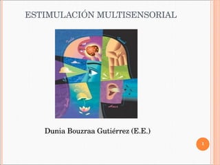 ESTIMULACIÓN MULTISENSORIAL Dunia Bouzraa Gutiérrez (E.E.) 