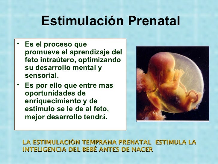 Estimulación prenatal Estimulación prenatal