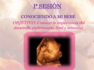 1ª SESIÓN
CONOCIENDO A MI BEBÉ
OBJETIVO: Conocer la importancia del
desarrollo embrionario, fetal y sensorial.
 