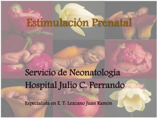 Estimulación Prenatal 
Servicio de Neonatología 
Hospital Julio C. Perrando 
Especialista en E. T: Lezcano Juan Ramón 
 