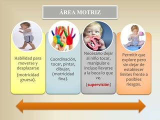 ÁREA MOTRIZ

Habilidad para
moverse y
desplazarse

(motricidad
gruesa).

Coordinación,
tocar, pintar,
dibujar,
(motricidad
fina).

Necesario dejar
al niño tocar,
manipular e
incluso llevarse
a la boca lo que
ve.
(supervisión)

Permitir que
explore pero
sin dejar de
establecer
límites frente a
posibles
riesgos.

 