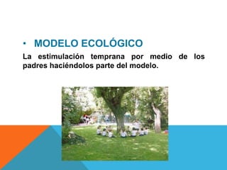 • MODELO ECOLÓGICO
La estimulación temprana por medio de los
padres haciéndolos parte del modelo.
 