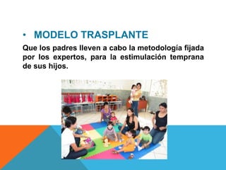 • MODELO TRASPLANTE
Que los padres lleven a cabo la metodología fijada
por los expertos, para la estimulación temprana
de sus hijos.
 