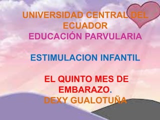 UNIVERSIDAD CENTRAL DEL
ECUADOR
EDUCACIÓN PARVULARIA
ESTIMULACION INFANTIL
EL QUINTO MES DE
EMBARAZO.
DEXY GUALOTUÑA
 