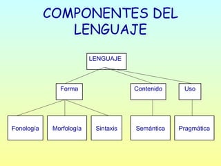 COMPONENTES DEL LENGUAJE LENGUAJE Forma Contenido Uso Fonología Morfología Sintaxis Semántica Pragmática 