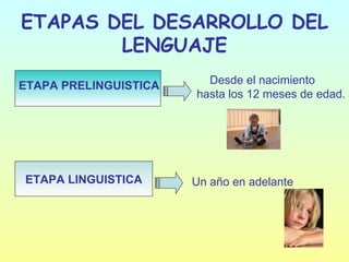 ETAPAS DEL DESARROLLO DEL LENGUAJE ETAPA PRELINGUISTICA ETAPA LINGUISTICA Desde el nacimiento hasta los 12 meses de edad. Un año en adelante 