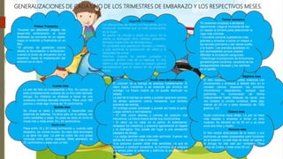 GENERALIZACIONES DE CADA UNO DE LOS TRIMESTRES DE EMBARAZO Y LOS RESPECTIVOS MESES.
Primer Trimestre.
*Durante las diferentes etapas del
desarrollo embrionario, el óvulo
fertilizado se convierte en un cigoto,
luego en embrión y finalmente en un
feto.
*El período de gestación ocurre
desde la fecundación o fertilización,
cuando el óvulo se encuentra con el
esperma, hasta la implantación del
embrión en el útero.
Cuarto mes
La piel del feto es transparente y fina. Su cuerpo ya
está completamente cubierto de un fino vello llamado
lanugo. Su intestino se empieza a llenar de una
sustancia verdosa llamada meconio. Pesa unos 180
gramos y mide algo menos de 15 centímetros.
Quinto mes
Se chupa el dedo y empieza a desarrollar sus
sistemas de defensa. Ya tiene pelo en la cabeza, así
como pestañas y cejas. Su peso se sitúa en torno al
medio kilo y mide entre 18 y 20 centímetros.
Sexto mes
Pasa entre 18 y 20 horas durmiendo y, cuando está
despierto, se mueve mucho. Su cara está terminada
y ya abre los ojos. La piel se cubre de una grasa
conocida como vérnix caseoso. Mide alrededor de
25 centímetros y pesa casi un kilo.
Sexto mes del embarazo
El volumen de la barriga se acentúa notablemente. El
útero sigue creciendo y se extiende por encima del
ombligo. La futura mamá ya no puede disimular su
estado.
La piel de la barriga se estira y pueden aparecer picores.
Se alivian aplicando crema hidratante, que también
previene las estrías.
•El ombligo puede sobresalir y quedar así hasta el parto.
Luego volverá a normalizarse.
• El niño crece deprisa y cambia de posición con
frecuencia. La futura mamá siente sus movimientos.
• El útero ya no cabe en la pelvis. Al extenderse,
desplaza los intestinos y presiona ligeramente el hígado
y el diafragma. Eso puede dar lugar a una sensación
pasajera de ahogo.
• La vejiga también está más más oprimida. Vuelven las
ganas de hacer pis más a menudo.
•Los pezones pueden estar más sensibles, ya que se
empieza a producir prolactina, la hormona que prepara
los senos para la lactancia y estimula la producción de
leche materna.
Séptimo mes
El feto responde a los ruidos externos con
movimientos y empieza a faltarle sitio en la
cavidad uterina. Aparecen los primeros
movimientos respiratorios, aunque sus
pulmones no funcionarán de forma
independiente hasta después de nacer, una
vez cortado el cordón umbilical. Mide algo
menos de 30 cm y pesa alrededor de 1500
gramos. 3.2
Octavo mes
Suele colocarse boca abajo. La piel se hace
más espesa y empieza a tomar un tono
rosáceo. Su tamaño es de 35 cm y ya pesa
unos dos kilos y medio.
Noveno mes
El feto recibe anticuerpos de la madre y sus
pulmones ya están preparados para funcionar
en el exterior. La piel deja de estar arrugada y
el lanugo se cae casi por completo. Pesa
cerca de 3 kilos y mide unos 50 cm.
Segundo Trimestre.
Las alteraciones de ánimo son frecuentes por la
revolución hormonal que se está produciendo
en la mujer.
•El pecho ha crecido y duele un poco. En la
areola se distinguen unos nódulos pequeños,
llamados tubérculos de Montgomery.
•Es probable que aparezcan náuseas y mareos,
y que aumente la producción de saliva y la
necesidad de orinar.
•Muchas mujeres se sienten cansadas y
necesitan dormir más de lo habitual. Es una
defensa del organismo, que se prepara para el
sobreesfuerzo que le espera en los próximos
meses.
•
Tercer semestre.
*El abdomen empieza a abultarse
ligeramente. Llega el momento de dar
un repaso al armario para seleccionar la
ropa más cómoda.
• Conviene comprar sujetadores más
grandes y empezar a echar un vistazo a
las tiendas premamá y dar rienda suelta
a la ilusión. Las prendas ajustadas no
son aconsejables porque pueden
dificultar la circulación sanguínea.
• Disminuye la producción de la hormona
gonadotropina coriónica, causante de las
desagradables náuseas y los cambios
en el apetito.
 