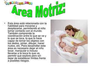 Esta área está relacionada con la habilidad para moverse y desplazarse, permitiendo al niño tomar contacto con el mundo. También comprende la coordinación entre lo que se ve y lo que se toca, lo que lo hace capaz de tomar los objetos con los dedos, pintar, dibujar, hacer nudos, etc. Para desarrollar esta área es necesario dejar al niño tocar, manipular e incluso llevarse a la boca lo que ve, permitir que explore pero sin dejar de establecer límites frente a posibles riesgos. Área Motriz:  