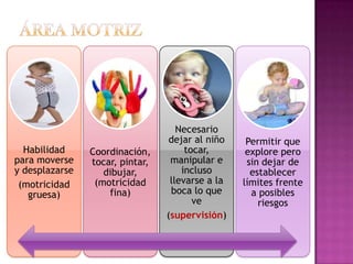 ÁREA MOTRIZ