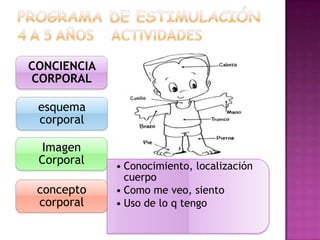 PROGRAMA DE ESTIMULACIÓN 4 A 5 años    ACTIVIDADES