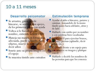 10 a 11 meses
    Desarrollo psicomotor               Estimulación temprana
 Se arrastra, gatea, puede           Ayudar al niño a hincarse, pararse y
  hincarse, se sostiene con apoyo,     caminar, tomandolo de la mono
                                       dando pasos hacia adelante, atras y
  da los primeros pasos con ayuda      de lado
 Voltea si le llaman por su          Hablarle con cariño por su nombre
  nombre, entiende la orden NO         y con palabras bien vocalizadas
 Maneja sus manos en forma más       Jugar con él para ejercitar brazos,
  adecuada, puede aplaudir, toma       manos y piernas (aplaudir, decir
  objetos, mueve la mano para          adios, etc.)
  decir adios                         Colocarlo frente a un espejo para
 Sonrie ante su propia imagen en      que observe su imagen y platique
  el espejo                            con él
 Se muestra timido ante extraños     Hablarle y decirle los nombres de
                                       las personas para que los conozca
 