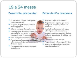 19 a 24 meses
Desarrollo psicomotor                           Estimulación temprana

 Es mas activo, camina, corre y sube            Ayudarlo a subir escaleras solo
    escaleras con ayuda                          Proporcionarle juguetes que pueda
   Se agacha, le gusta patear y arrojar            manipular, empujar, y mover a su
    pelotas y juguetes                              alrededor
   Salta sin ayuda sin alternar los pies          Enseñarle a saltar en un solo lugar,
   Pasa las paginas de un libro e identifica       sobre figuras pintadas en el piso
    los objetos en ella. Habla mejor y              enseñarle e enriquecer su vocabulario
    comprende más. Es posesivo                      mediante la asociación de palabras con
   Hace encargos domésticos sencillos              los objetos
                                                  Darle instrucciones sencillas
    Puede encimar hasta cuatro cubos, uno
    sobre otro, y dibujar una línea con una        Proporcionarle cubos de papel y lápiz
    deviación ligera                               Atender su solicitud para facilitar el
   Empieza a controlar voluntariamente             control de esfínteres
    sus esfínteres
 