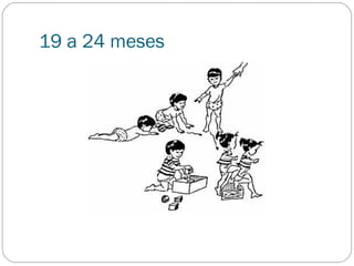 19 a 24 meses
 