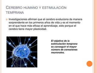 CEREBRO HUMANO Y ESTIMULACIÓN
TEMPRANA
   Investigaciones afirman que el cerebro evoluciona de manera
    sorprendente en los primeros años de vida y es el momento
    en el que hace más eficaz el aprendizaje, esto porque el
    cerebro tiene mayor plasticidad.



                                     El objetivo de la
                                     estimulación temprana
                                     es conseguir el mayor
                                     número de conexiones
                                     neuronales.
 