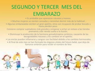 SEGUNDO Y TERCER MES DEL
EMBARAZO
• Es probable que aparezcan náuseas y mareos.
• Muchas mujeres se sienten cansadas y necesitan dormir más de lo habitual. .
• Algunas embarazadas sienten un gran apetito, otras son incapaces de probar bocado y
hasta pierden peso.
Conviene comprar sujetadores más grandes y empezar a echar un vistazo a las tiendas
premamá y dar rienda suelta a la ilusión.
• Disminuye la producción de la hormona gonadotropina coriónica, causante de las
desagradables náuseas y los cambios en el apetito.
• Las encías pueden inflamarse y sangrar con facilidad debido a los cambios hormonales.
• Al final de este mes se han formado los órganos vitales del futuro bebé, que deja de
llamarse embrión para recibir el nombre de feto
 
