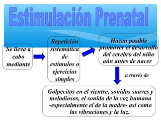 Se lleva a
cabo
mediante
Repetición
sistemática
de
estímulos o
ejercicios
simples
Hacen posible
promover el desarrollo
del cerebro del niño
aún antes de nacer
Golpecitos en el vientre, sonidos suaves y
melodiosos, el sonido de la voz humana
-especialmente el de la madre- así como
las vibraciones y la luz.
a través de
 