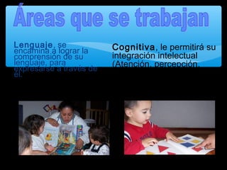 Lenguaje, se
encamina a lograr la
comprensión de su
lenguaje, para
expresarse a través de
él.
Cognitiva, le permitirá su
integración intelectual
(Atención, percepción,
memoria, etc.)
 