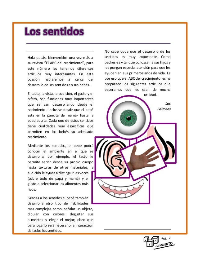 Estimula los sentidos