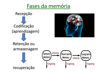 Fases da memória
Recepção
Codificação
(aprendizagem)
Retenção ou
armazenagem
recuperação
 