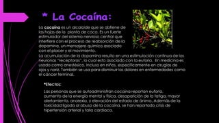 La cocaína es un alcaloide que se obtiene de
las hojas de la planta de coca. Es un fuerte
estimulador del sistema nervioso central que
interfiere con el proceso de reabsorción de la
dopamina, un mensajero químico asociado
con el placer y el movimiento.
*Efectos:
Las personas que se autoadministran cocaína reportan euforia,
aumento de la energía mental y física, desaparición de la fatiga, mayor
alertamiento, anorexia, y elevación del estado de ánimo. Además de la
toxicidad ligada al abuso de la cocaína, se han reportado crisis de
hipertensión arterial y falla cardiaca.
La acumulación de la dopamina resulta en una estimulación continua de las
neuronas “receptoras”, lo cual esta asociado con la euforia. En medicina es
usado como anestésico, incluso en niños, específicamente en cirugías de
ojos y nariz. También se usa para disminuir los dolores en enfermedades como
el cáncer terminal.
 