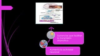 Aumenta la actividad
neuronal
Sustancias que facilitan
la transmisión
sinpnatica
 
